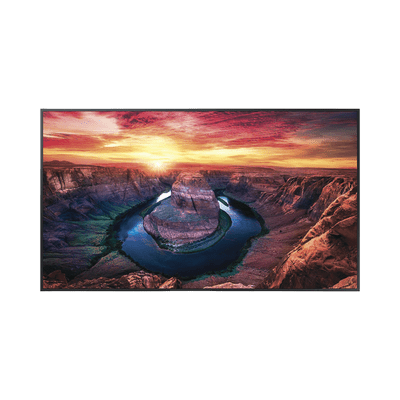 Pantalla Profesional LED de 65", UHD 4K (3840x2160p), Entradas de Video HDMI/DisplayPort, Bocinas Integradas de 10 W. Compatible VESA. Modo de Simulación DICOM