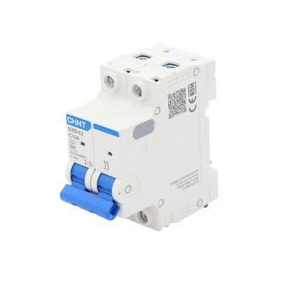 Pastilla para Riel Din, 2 Polos, 10 Amp, Vca:110/415v, 6kA, Catálogo: NXB632PC10, Serie: NXB-63.