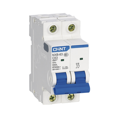 Pastilla para Riel Din, 2 Polo, 63 Amp, Vca:110/415v, 6kA, Catálogo: NXB632PC63, Serie: NXB-63.