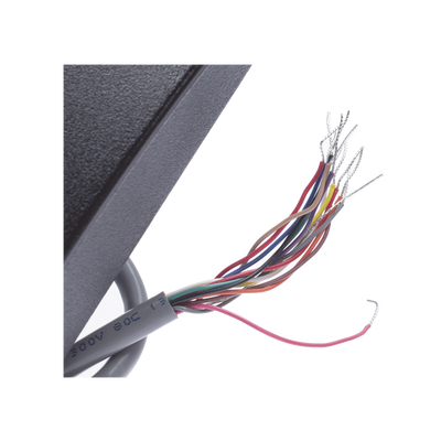 OMNICASS2 SMART + PROX  US GANG READER WIEGAND 50CM/18" PIGTAIL