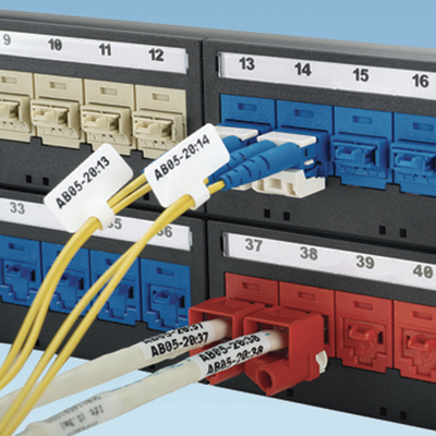 Kit de 10 Dispositivos para Bloquear Puertos Jack RJ45, Color Gris, Incluye Llave de Extracción