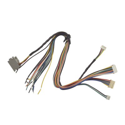 Juego de cables de conexion para Bioentry  plus