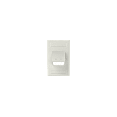Placa de Pared Vertical Clásica, Salida Para 2 Puertos Mini-Com Inclinados, Con Espacios Para Etiquetas, Color Blanco